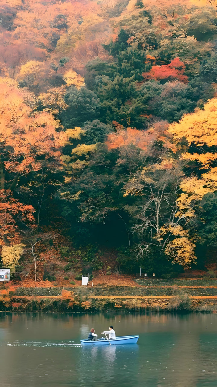 第1期
